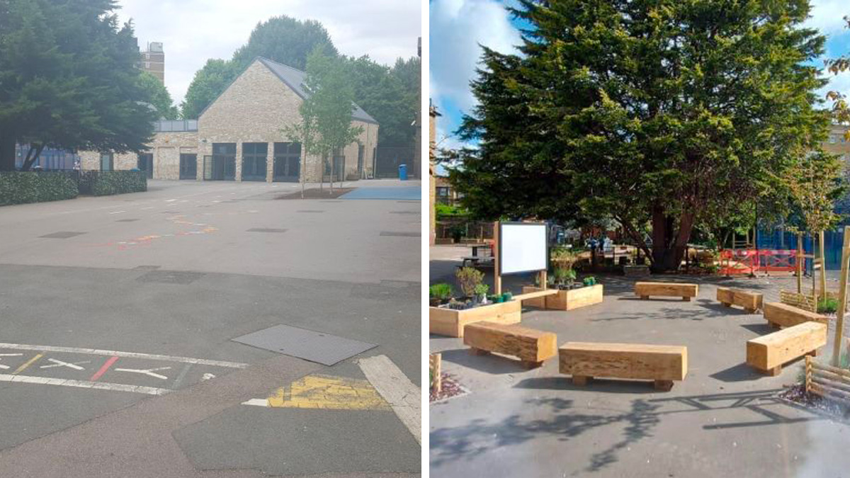 Before & after: Schoolyard without & with trees planted