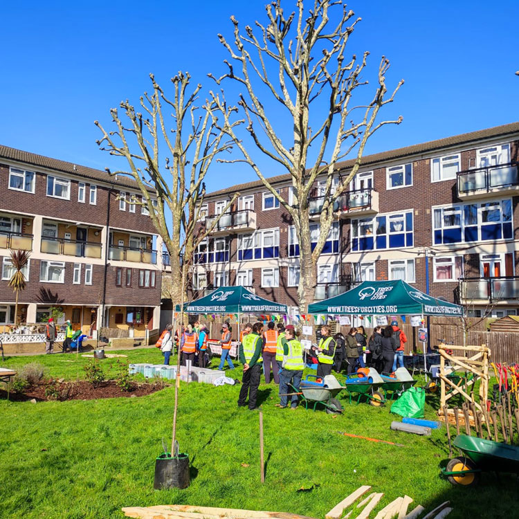 Group of people planting trees in garden area between flats
