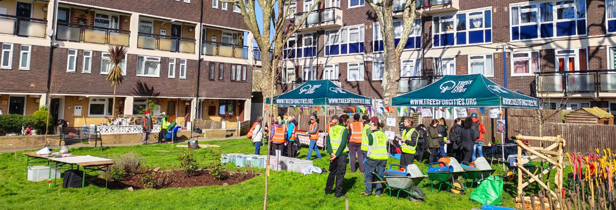 Group of people planting trees in garden area between flats