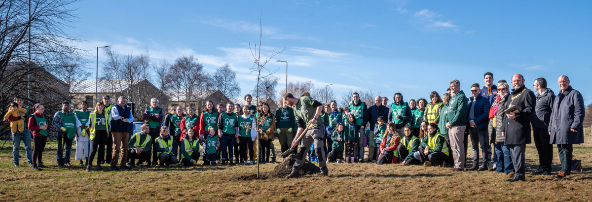 A group of people watching a person plant a tree in a field