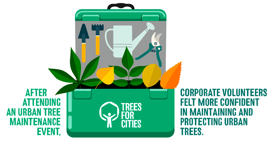 infographic On a scale of 1 to 5, where 1 = not confident at all and 5 = completely confident. A sample of 36-40 corporate volunteers scored, on average, 2.88 before and 3.75 after attending an urban tree planting event.