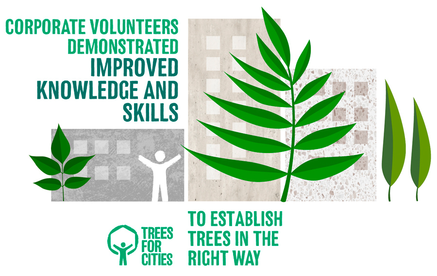 infographic Based on self reported knowledge and skills from 11 out of 36 corporate volunteers.
