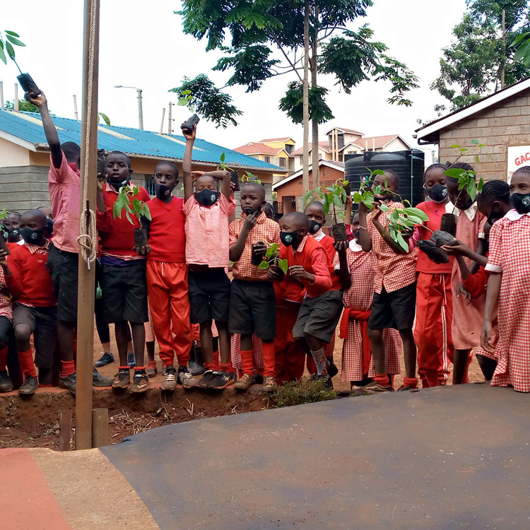 Group of children holding plants in a school yard