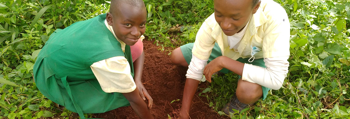 Two children planting a tree in a field