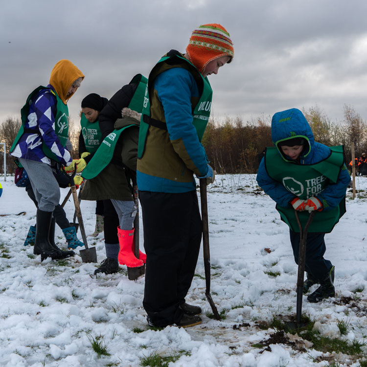 Children planting trees in a snowy field